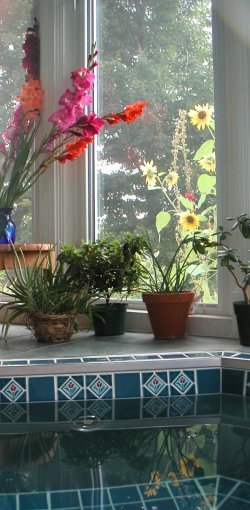 gladiolus and sunflowers over tiled hot tub